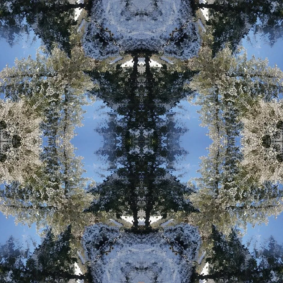 imgonline-com-ua-kaleidoscopeQsJK3gOsTyiU.jpg