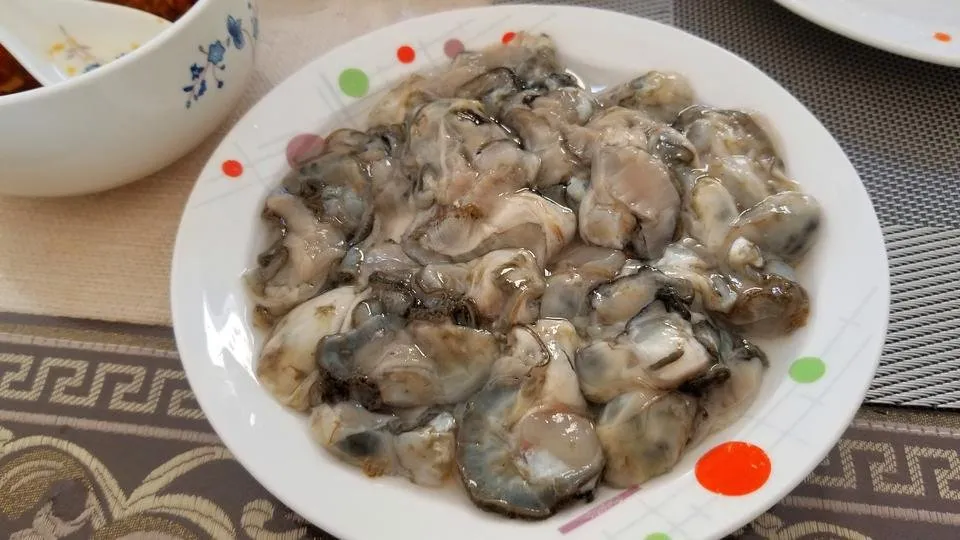 海蛎子.jpg