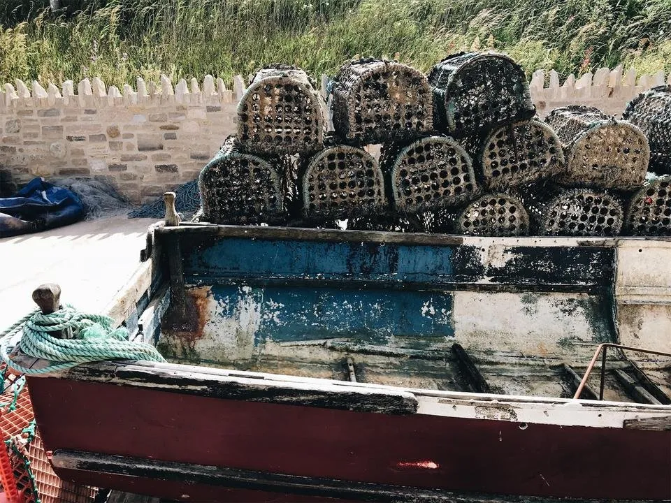 JPEG image-ECE5B2C3131C-1.jpeg