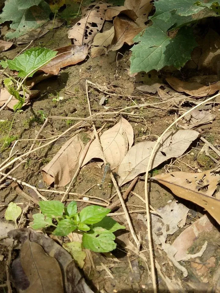 IMG20180802133749.jpg