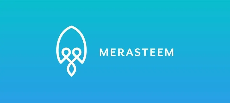 merasteem_logo.jpg