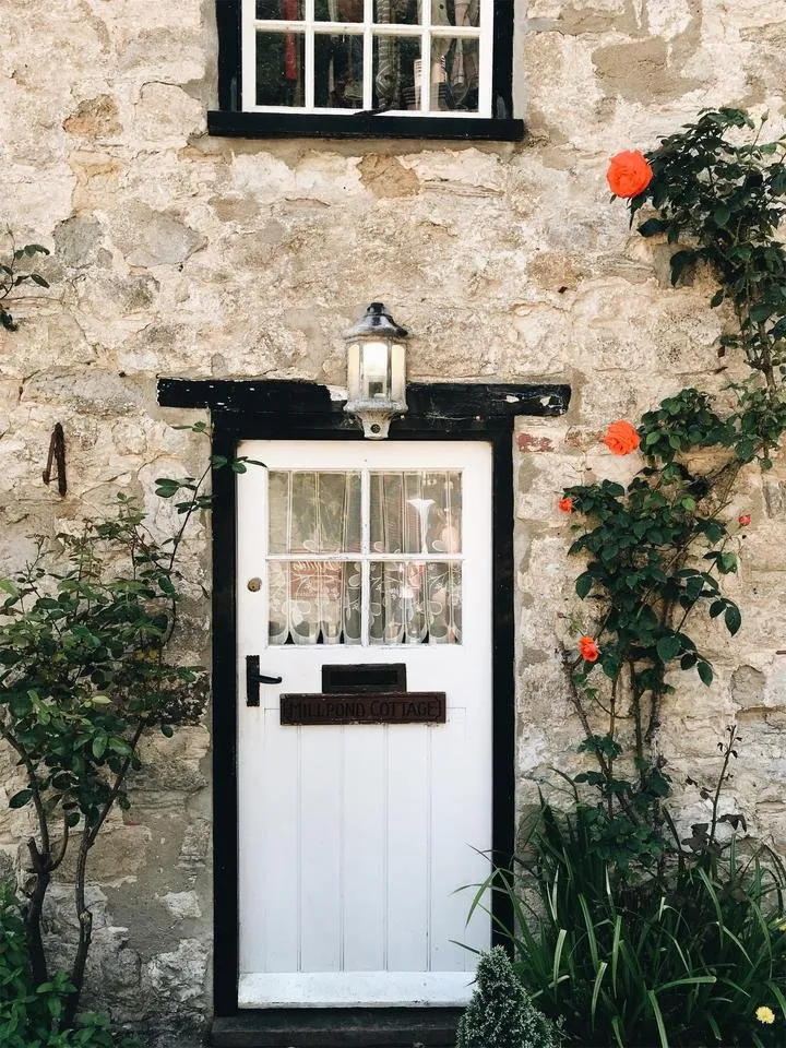 JPEG image-ECE5B2C3131C-10.jpeg