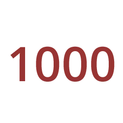 1000.png