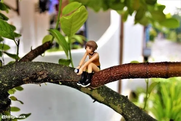 macrophotography-boneka-10.jpg