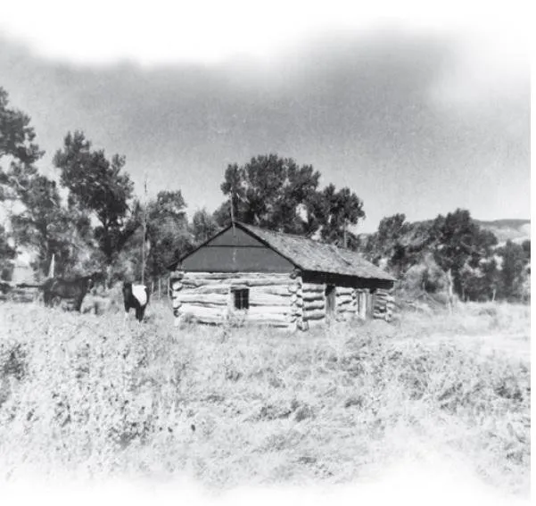 homestead.jpg