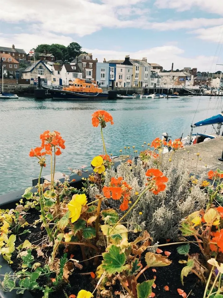 JPEG image-8A0B30A274C6-19.jpeg