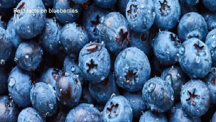 Fast facts on blueberries.jpg