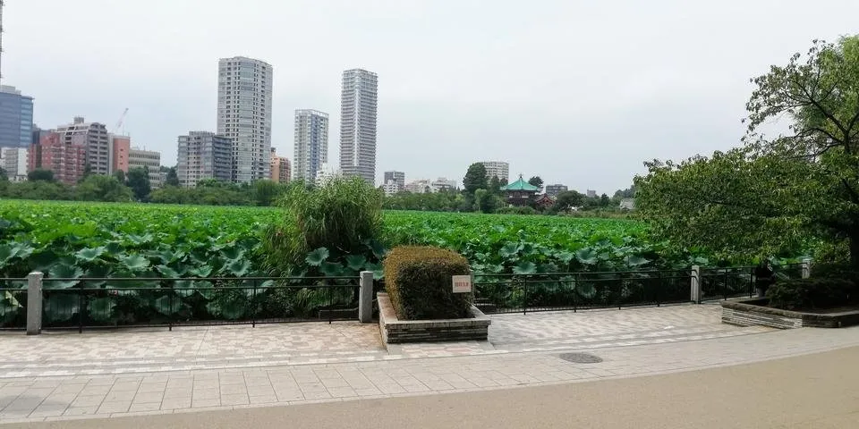 IMG_20180901_140914.jpg