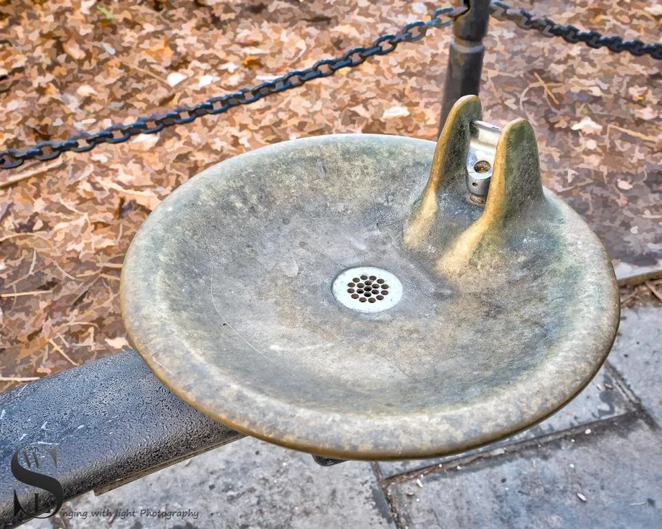 1 Wednesday Walk City Hall Park-3.jpg