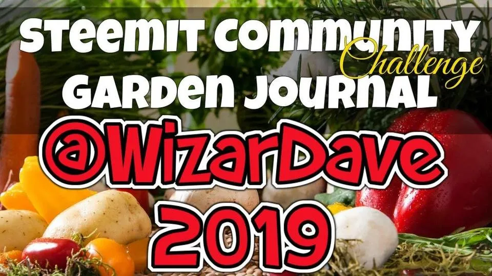 WizarDave's Gardening Journal 2019