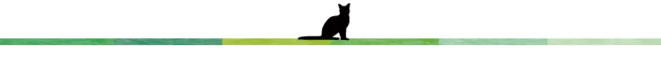 猫４.png