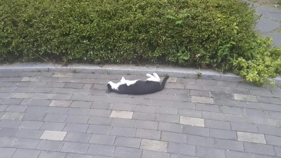 KakaoTalk_20180803_211641169.jpg