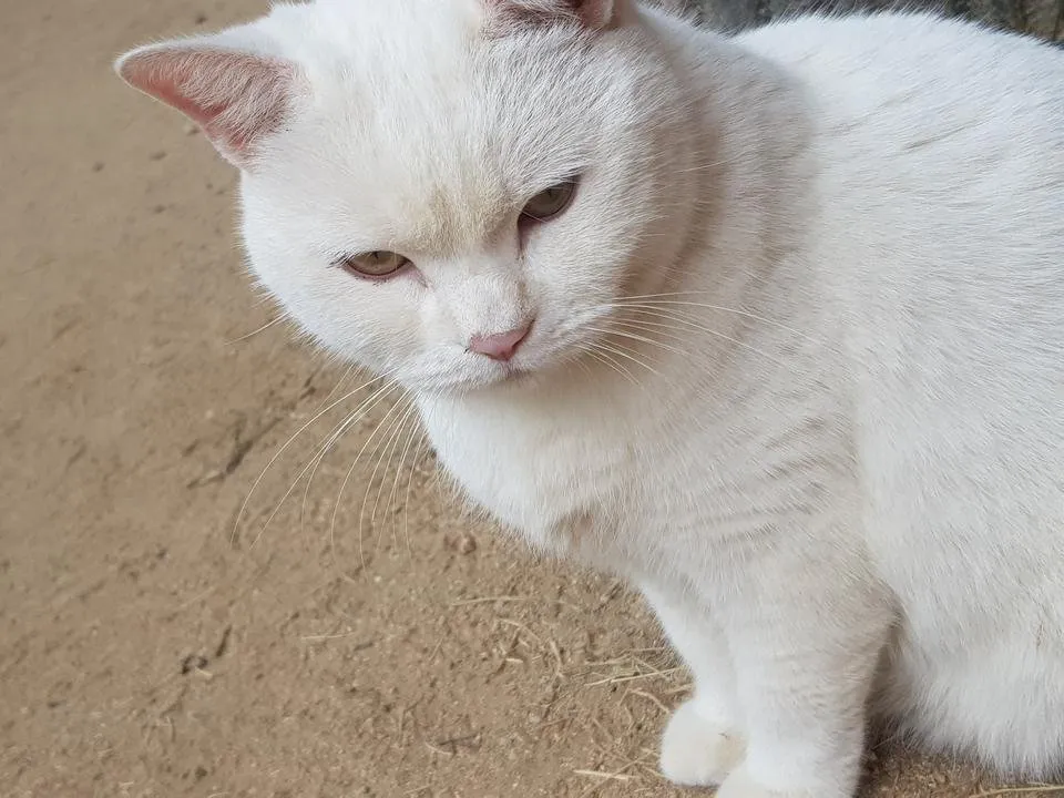 20191027_140712.jpg