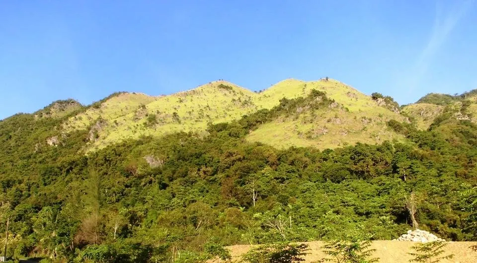 savana2.jpg
