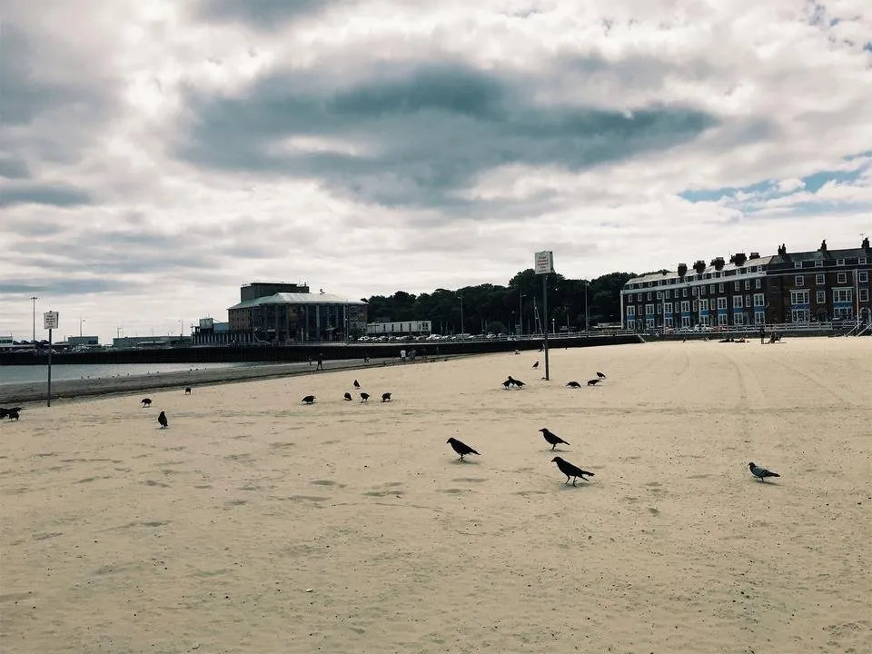 JPEG image-8A0B30A274C6-26.jpeg