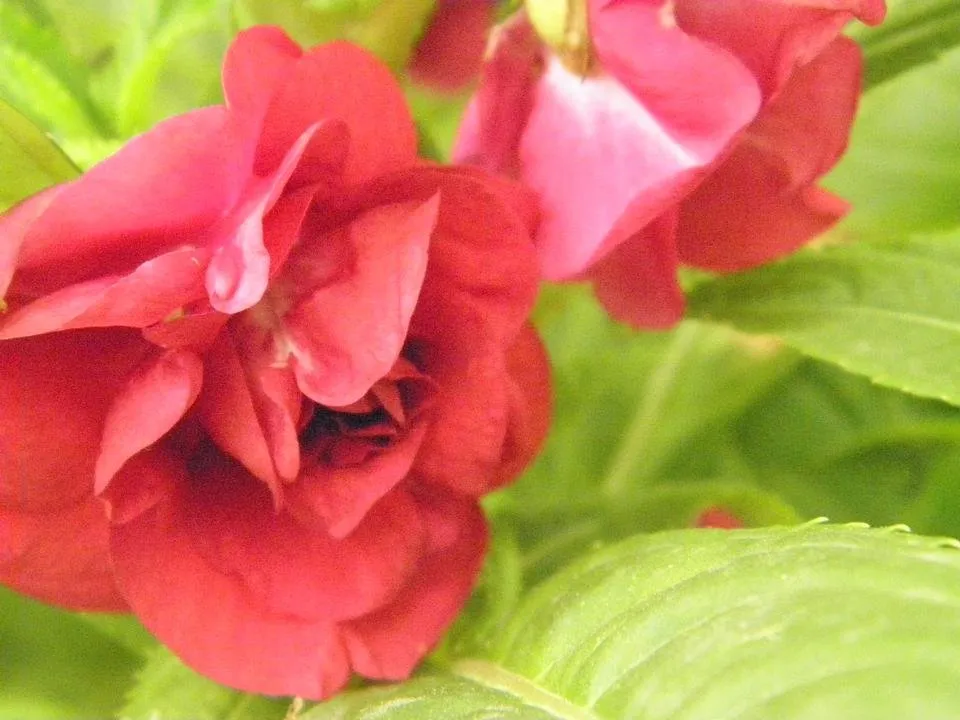P1010515.JPG