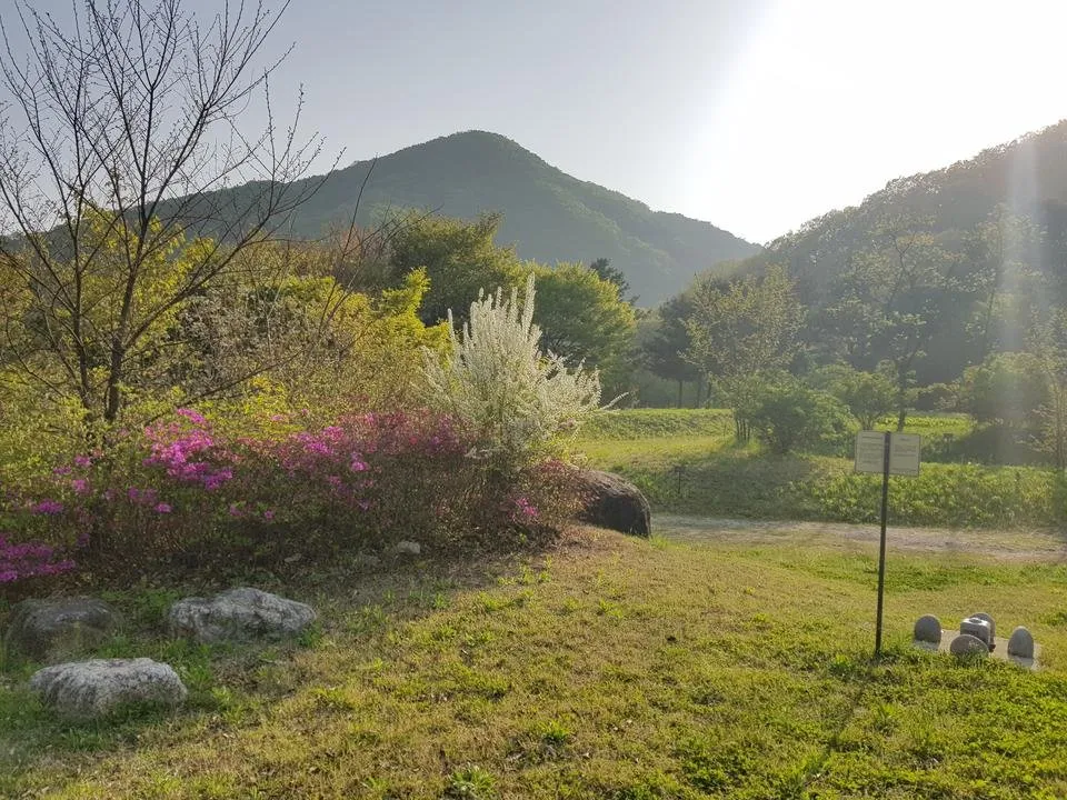 20190501_172830.jpg