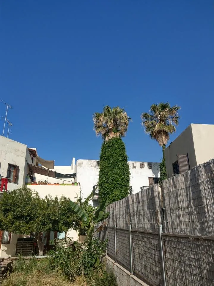 IMAG0687.jpg