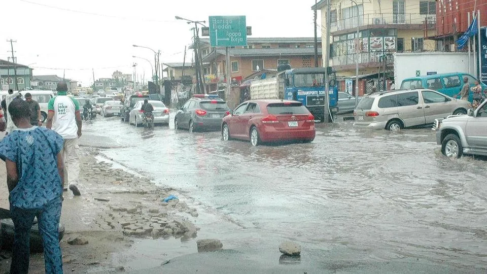 DIYA-3.jpg