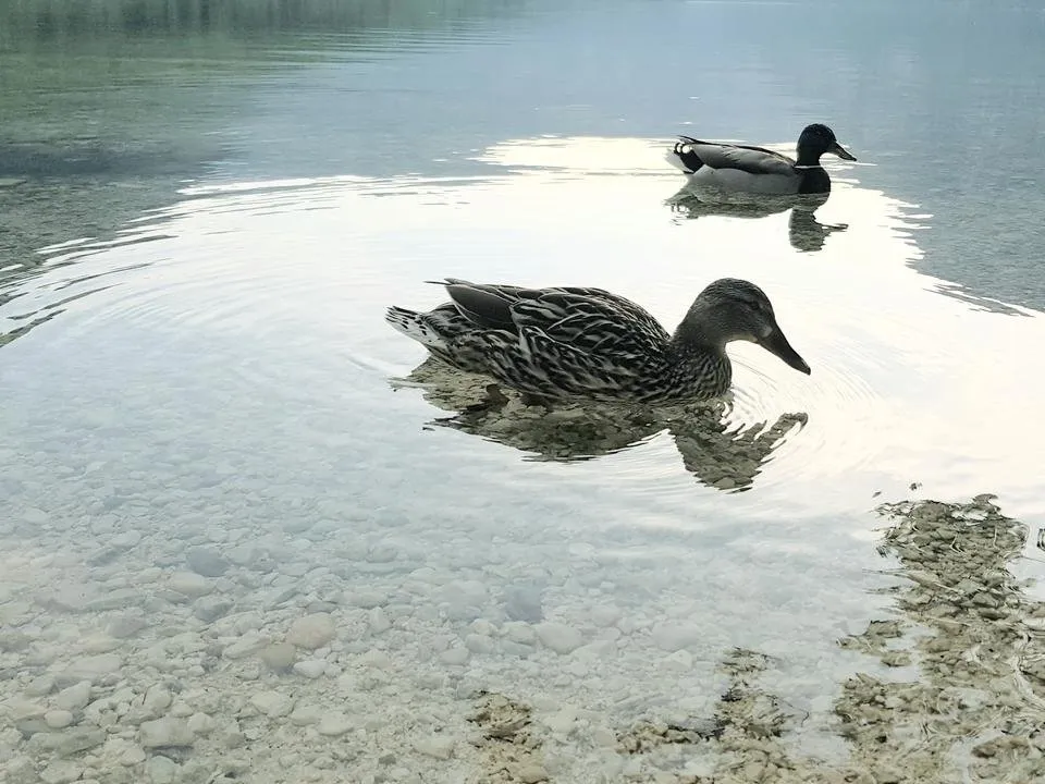 20190613_105616.jpg
