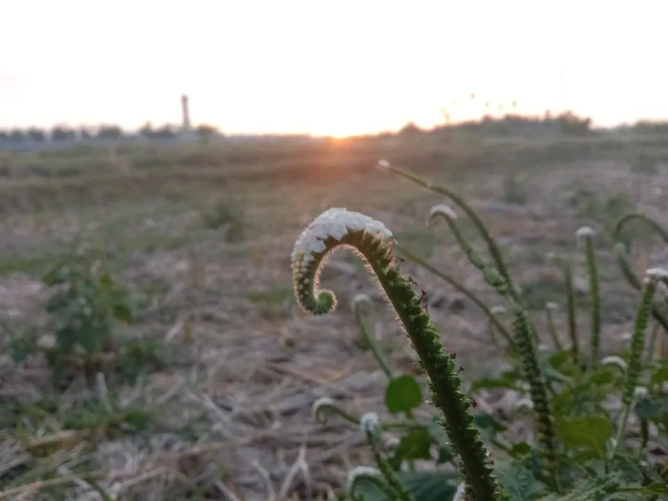 IMG-20190705-WA0004.jpg