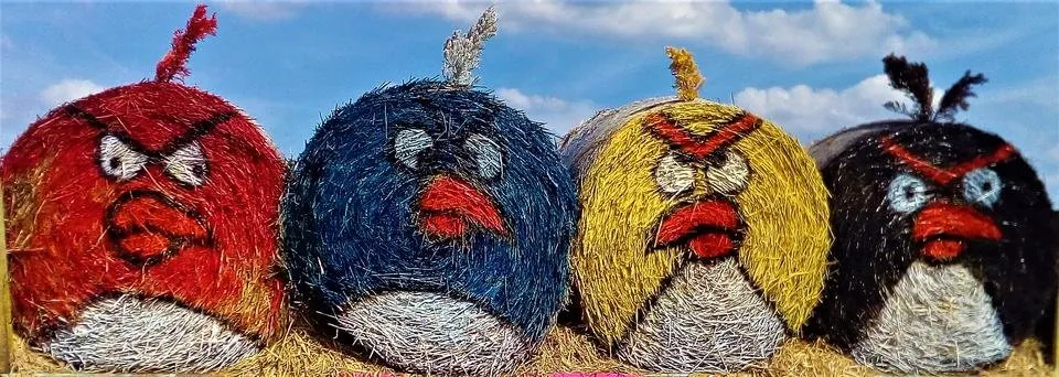 angry birds close up.jpg