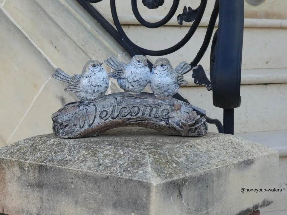 birds on an entrance.jpg