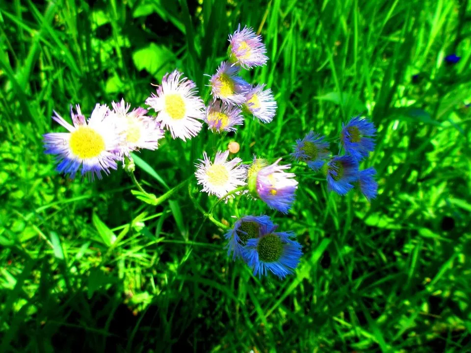 IMG_0070.jpg