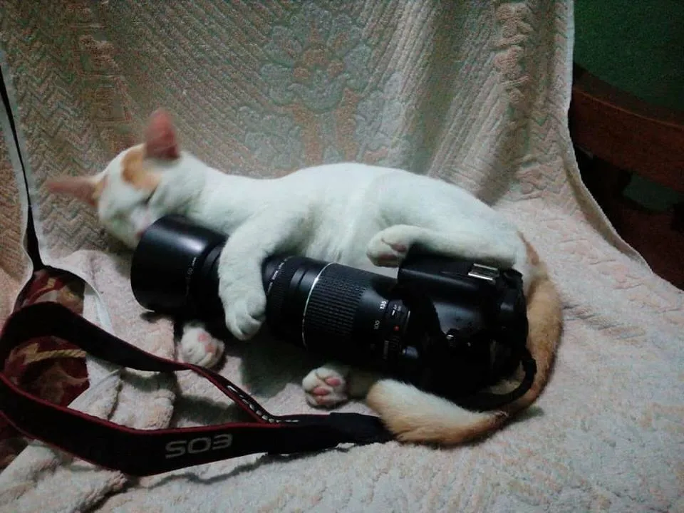 Camera.jpg