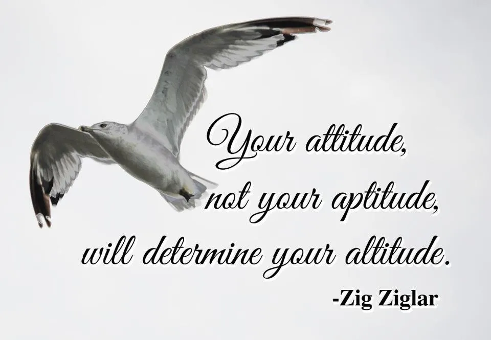 attitude.jpg