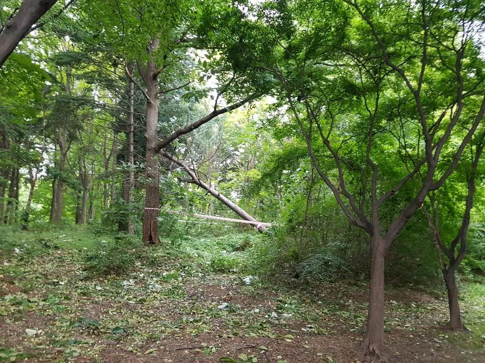 20190908_164316.jpg