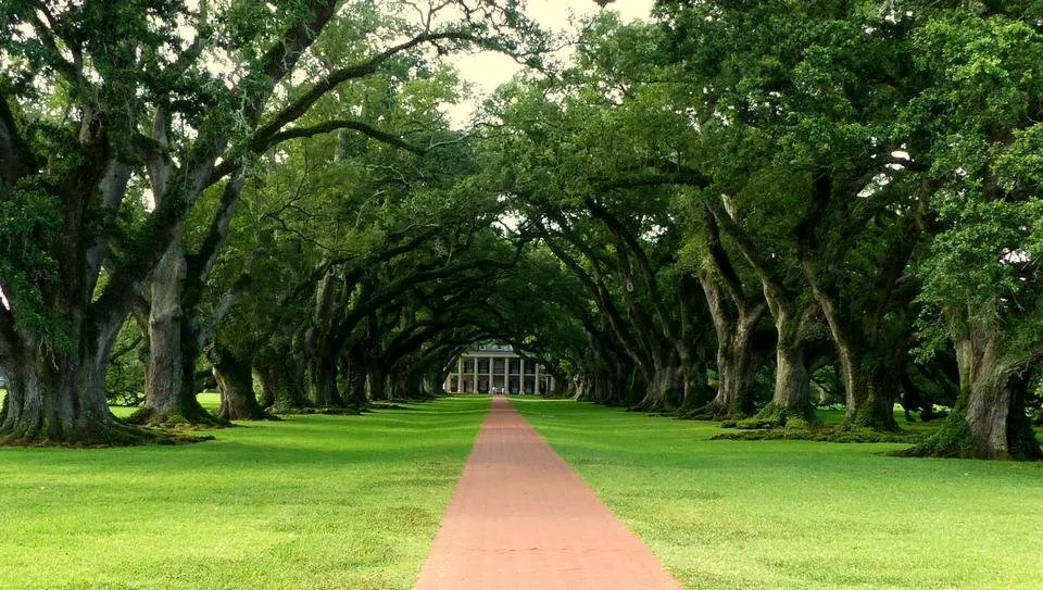 louisiana-4003997_1920.jpg