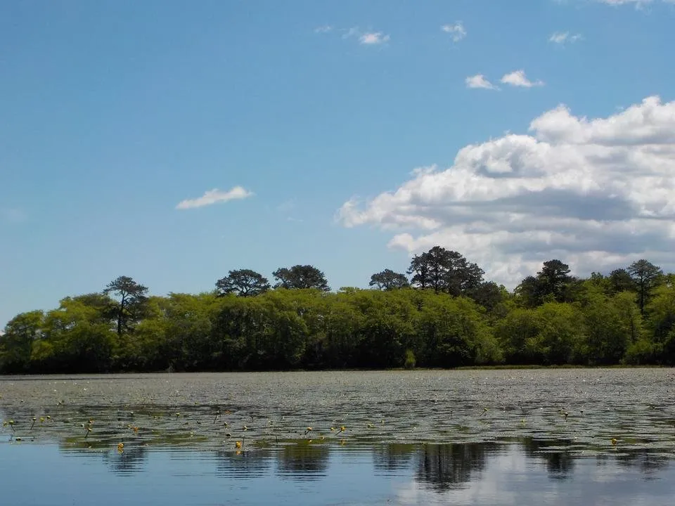 DSCN3221.JPG