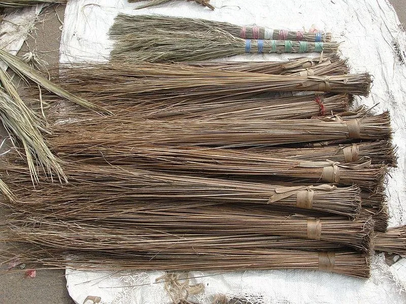 Aerial_view_of_broom_stall.jpg