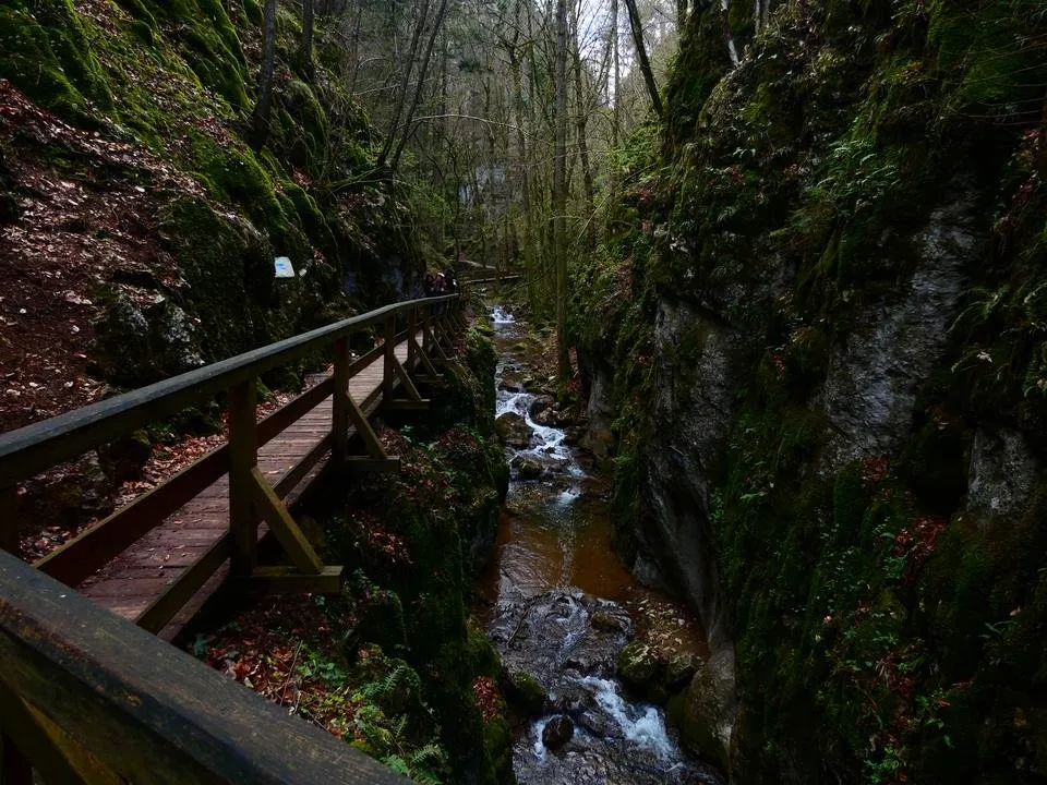 P1240410.JPG