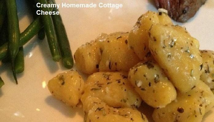 Creamy Homemade Cottage Cheese.jpg