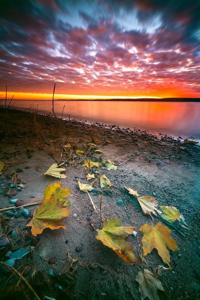 Evening-at-curonian-gulf3.jpg
