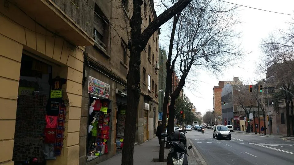 MyPhoto_1155325117_0731.jpg