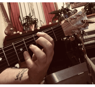IMG_7396.GIF