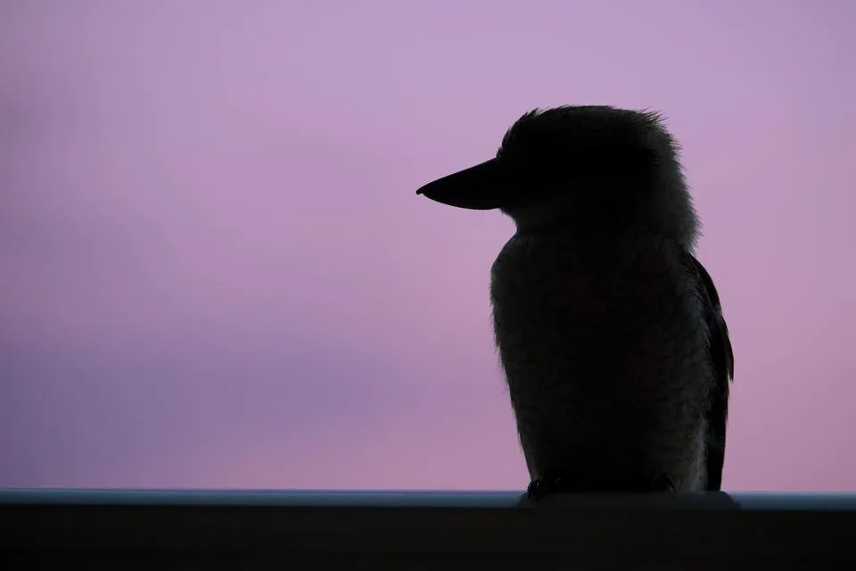 Australia 2009 - 0323.jpg