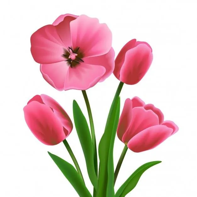 coloured-flower-design_1284-1550.jpg