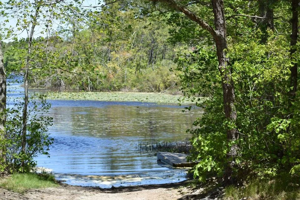 DSC_0270.JPG