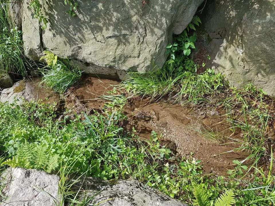 20180708_091057.jpg