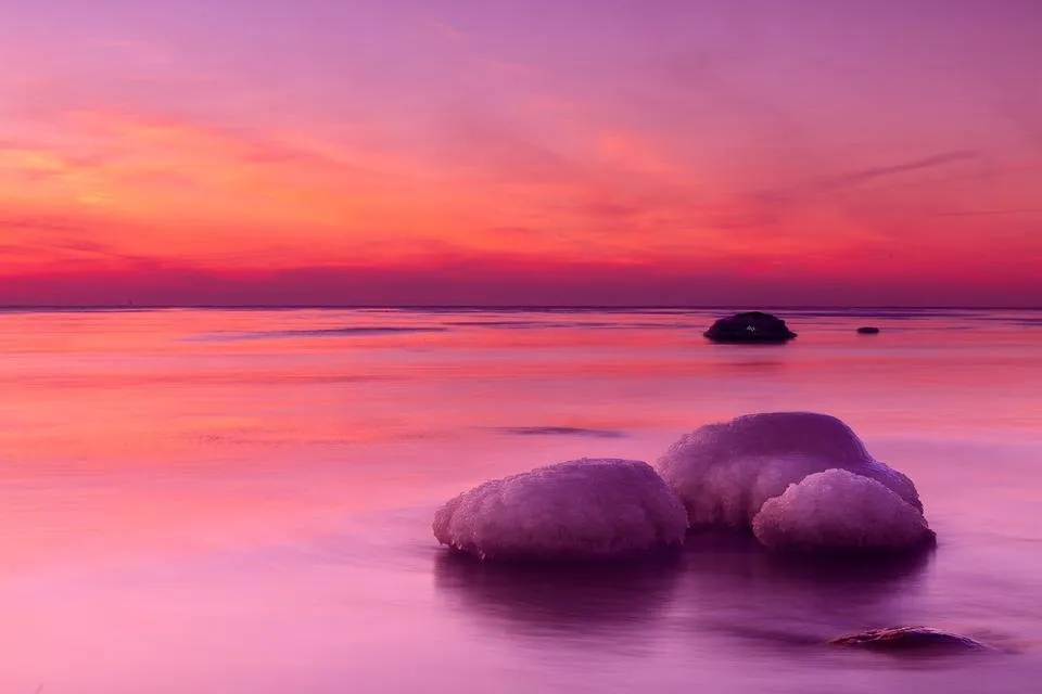 A-Purple-Dream.jpg