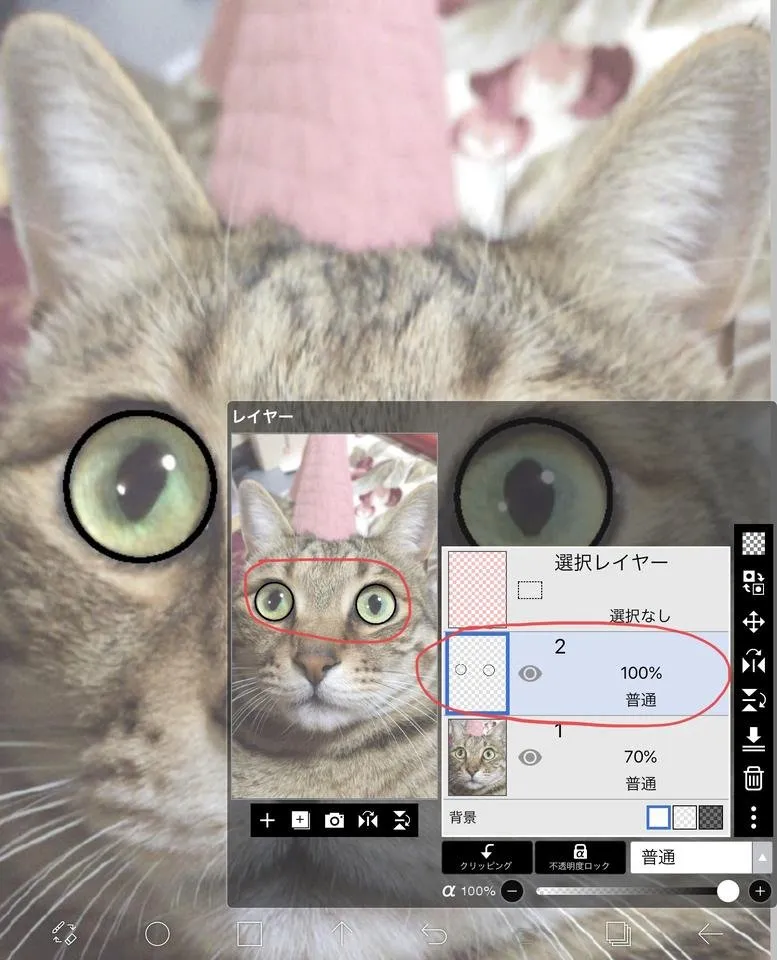 46F14A37-205F-4C2A-9189-5264A707C386.jpeg