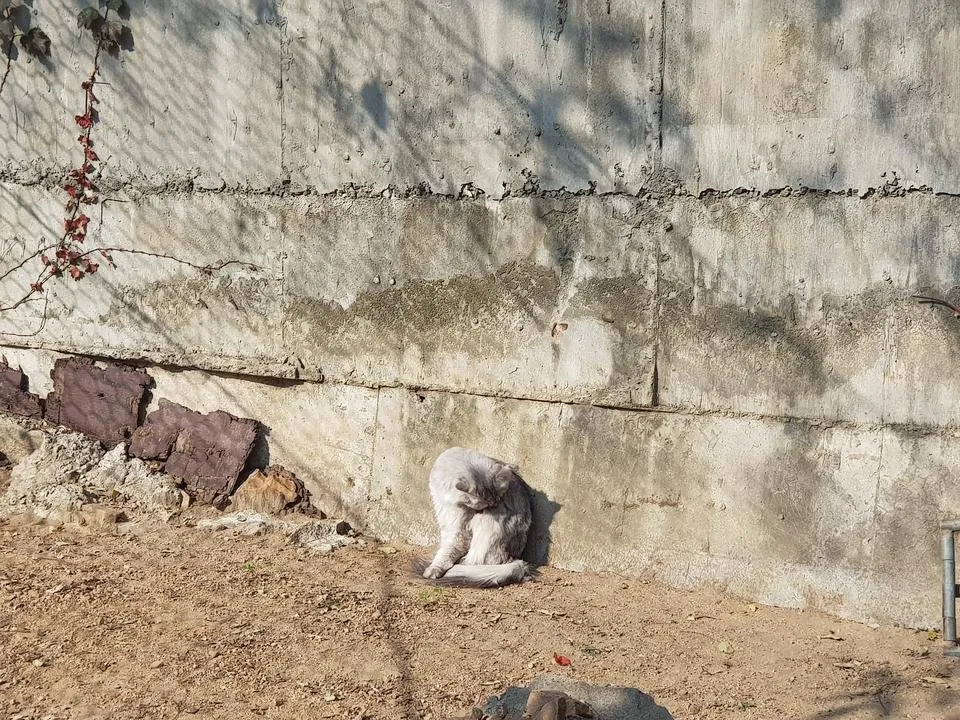 20191027_140325.jpg