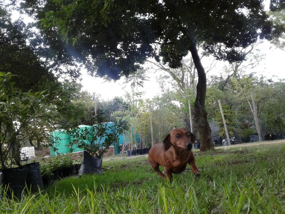 20181116_172456.jpg
