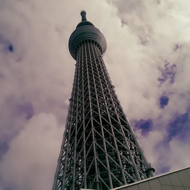 2017-09-02-12-19-59-129-608x608.jpg