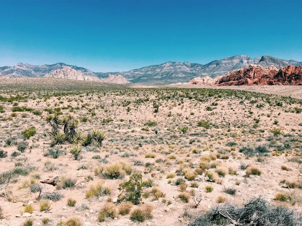 redrock1.jpg