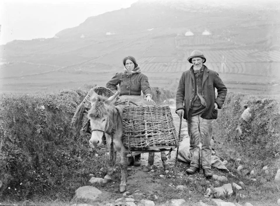 BnWold peasant farmers newoldstock.jpg